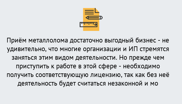 Почему нужно обратиться к нам? Можга Лицензия на металлолом. Порядок получения лицензии. В Можга