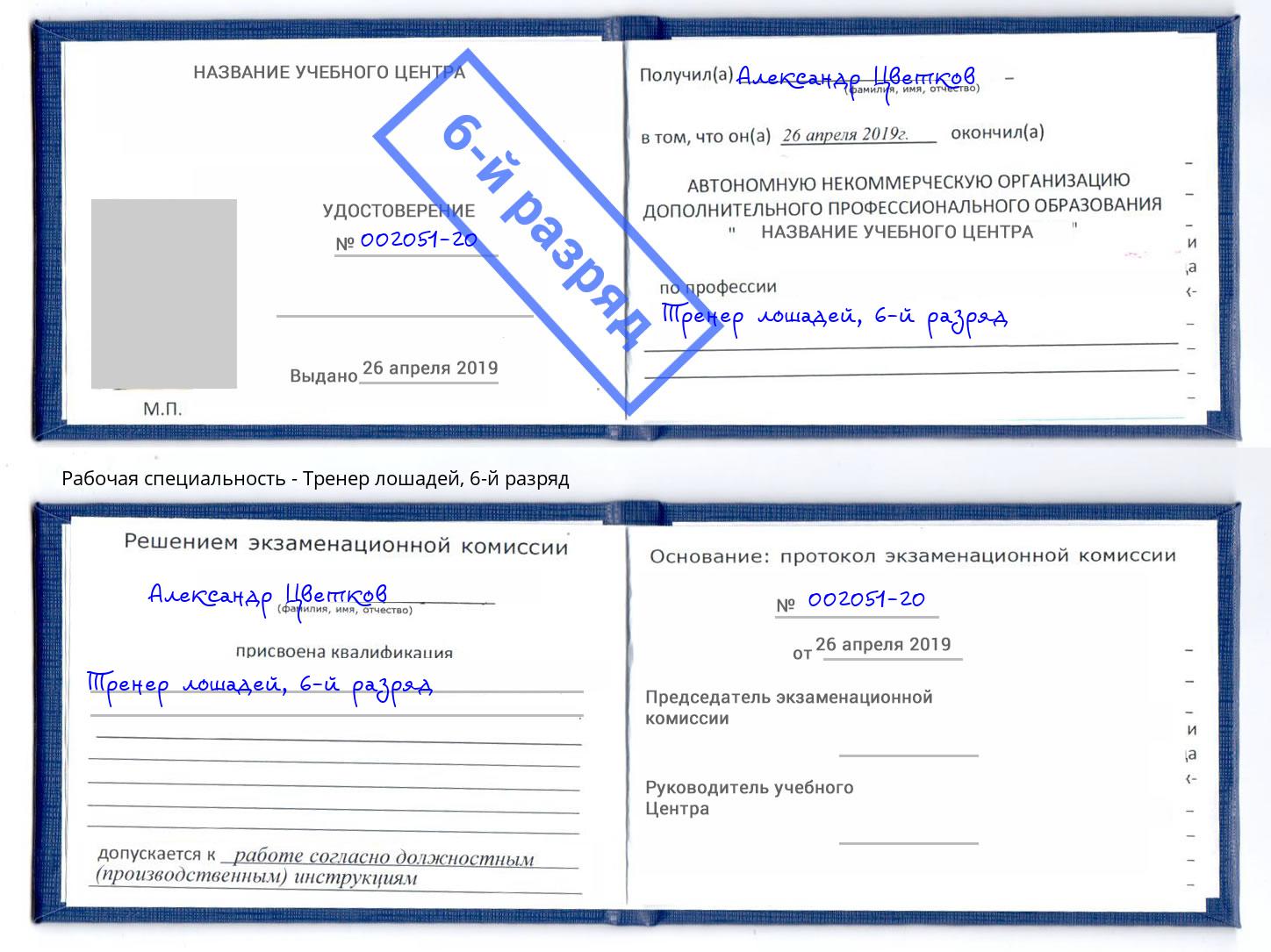 корочка 6-й разряд Тренер лошадей Можга