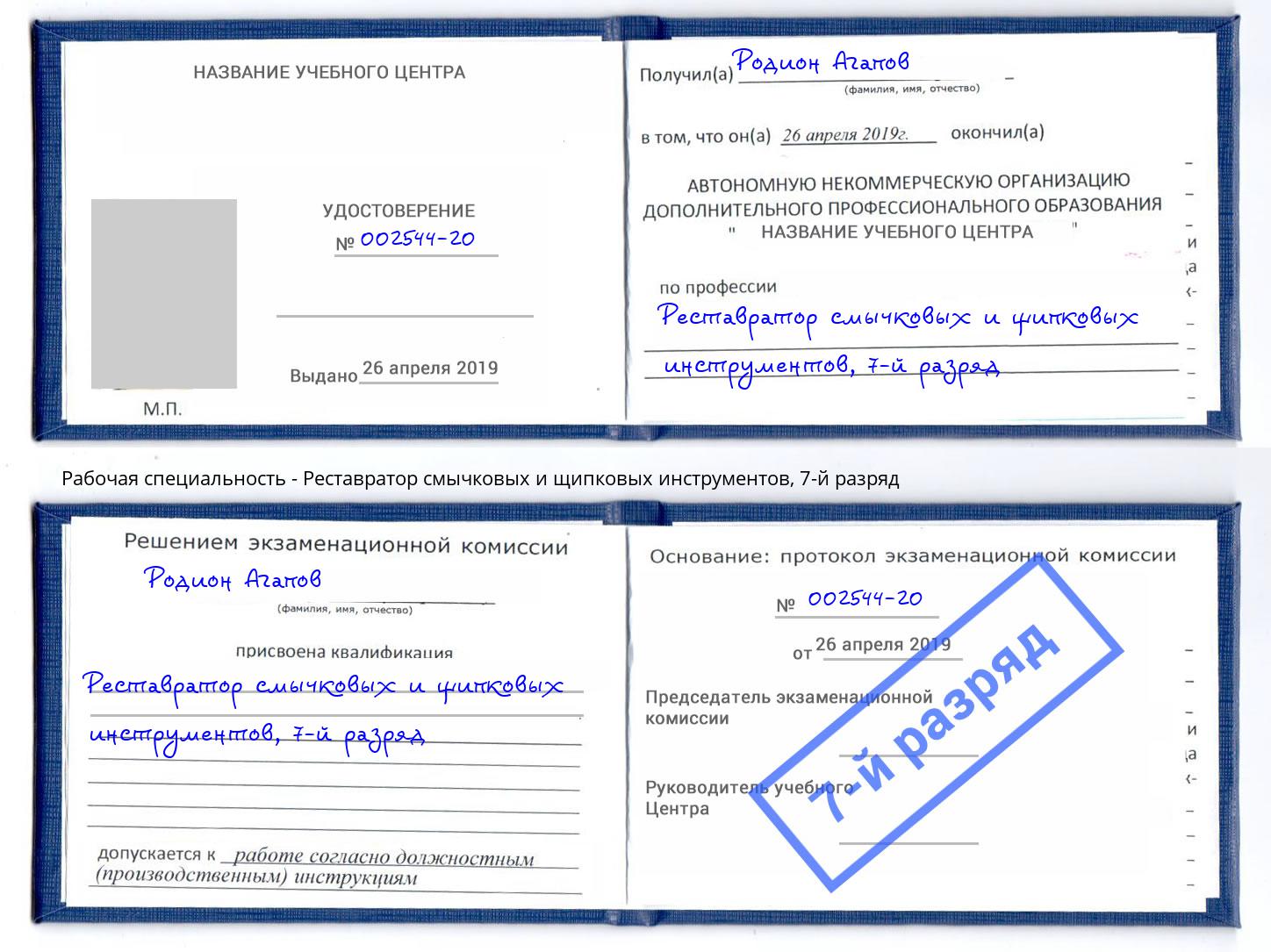 корочка 7-й разряд Реставратор смычковых и щипковых инструментов Можга