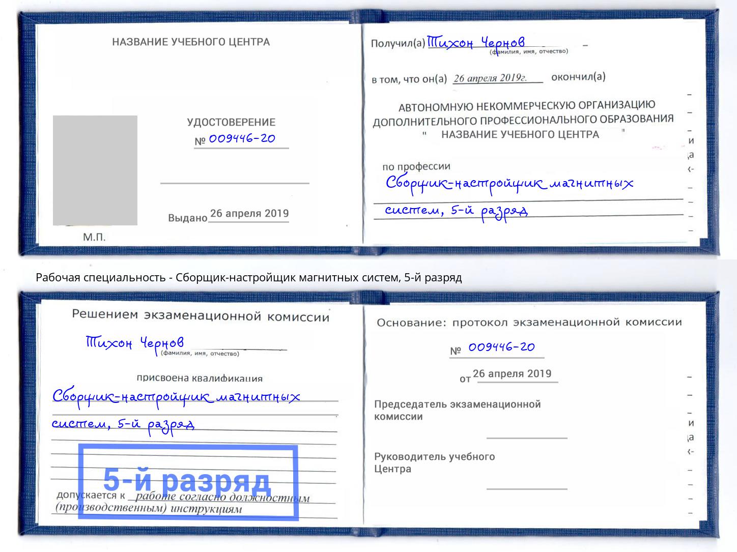 корочка 5-й разряд Сборщик-настройщик магнитных систем Можга